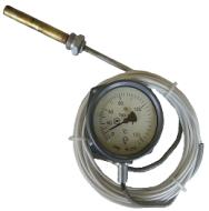 gauge type thermal sensor