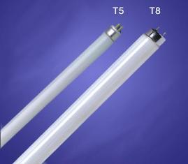 T5 and T8 fluorescent tubes