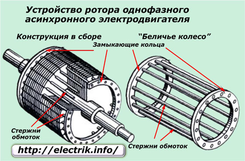 Het rotorapparaat van een inductiemotor