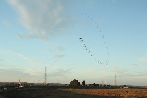 flying kite generator