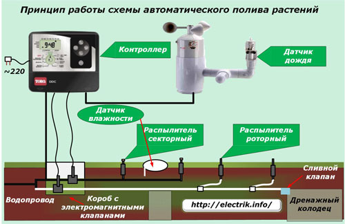 O princípio do sistema de rega automático da planta