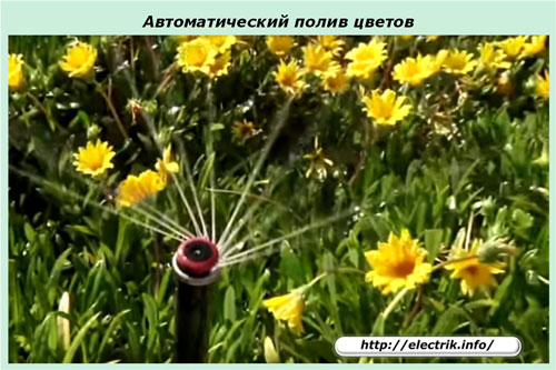 Automatic watering of flowers