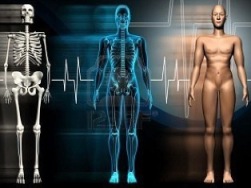 Az emberi test ellenállása - mire múlik, és hogyan változhat
