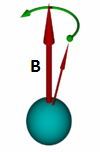كل نواة لذرة الهيدروجين هي مصدر للحقل المغناطيسي.