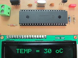 Microcontroladores PIC para iniciantes