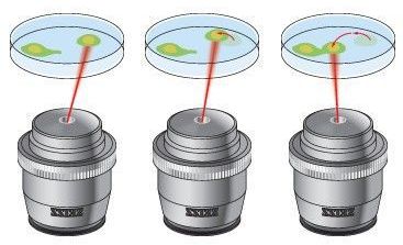 Laser-based optical tweezers