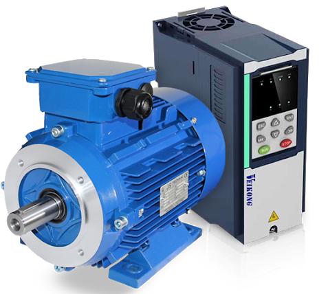 Frequency Converter Induction Motor